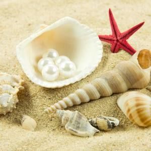 Meet your Posher, Perla